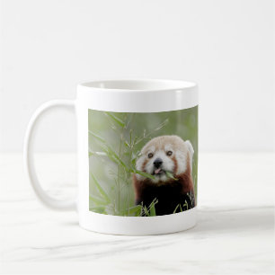 Mugs photo red panda. Panda roux. animals.