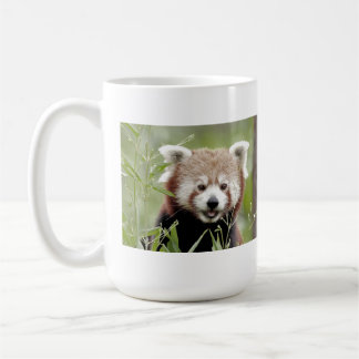 Mugs photo red panda. Panda roux. animals.