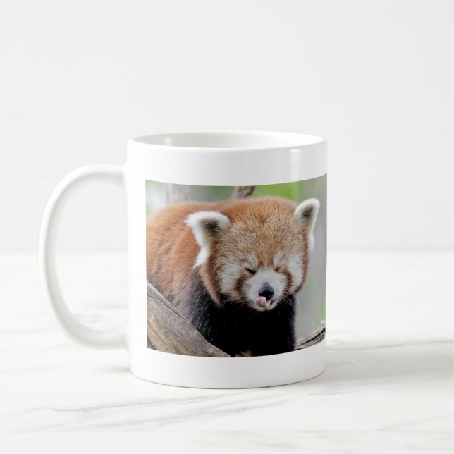 Mugs photo red panda. Panda roux. animals. (Left)