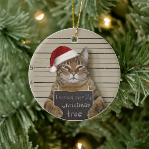 Mugshot Cat Christmas Ceramic Ornament