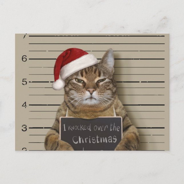 Mugshot Cat Christmas Postcard (Front)