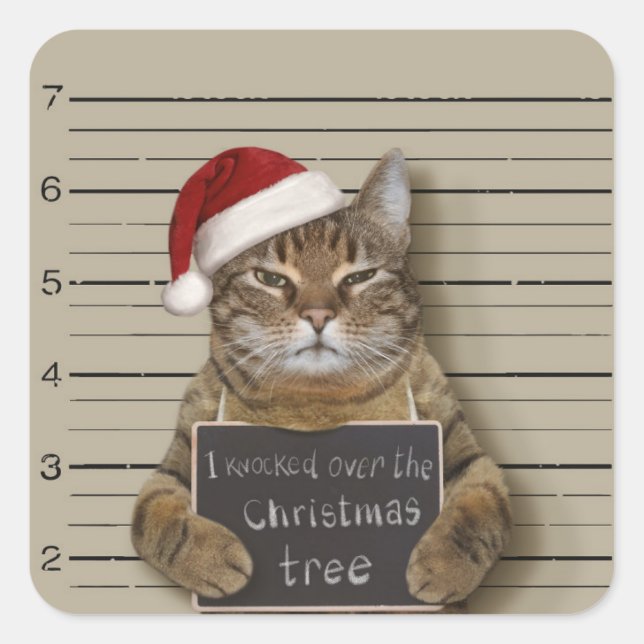 Mugshot Cat Christmas Square Sticker (Front)