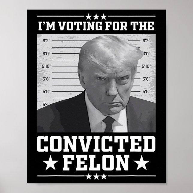 Mugshot Vote For The Felon Trump 2024 Trump Convic Poster (Front)