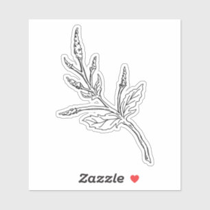 Mugwort Herb Sticker