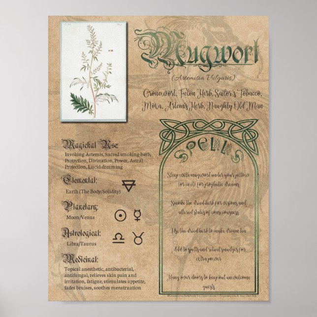 Mugwort Herbal Book of Shadows Pagan Wiccan Poster (Front)