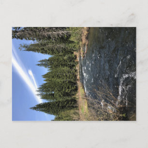 Muir Creek, Oregon Postcard