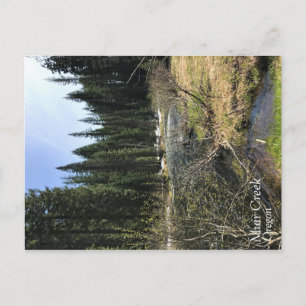 Muir Creek, Oregon Postcard