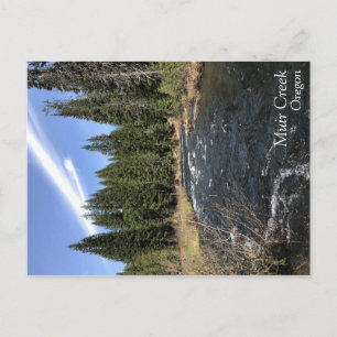 Muir Creek Postcard