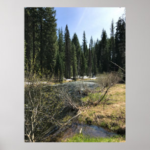 Muir Creek Poster