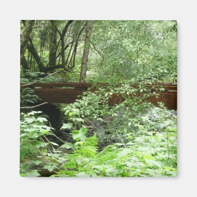 Muir Woods Bridge I Magnet (Front)