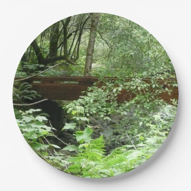 Muir Woods Bridge I Paper Plate (Front)