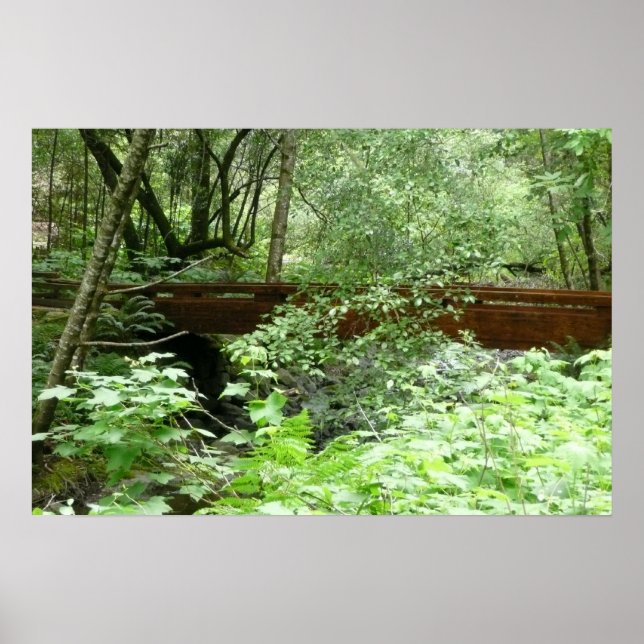 Muir Woods Bridge I Poster (Front)