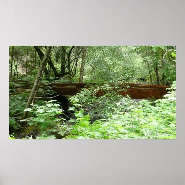 Muir Woods Bridge I Poster (Front)