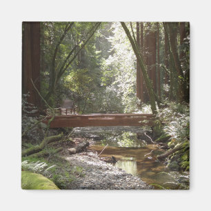 Muir Woods Bridge II Magnet