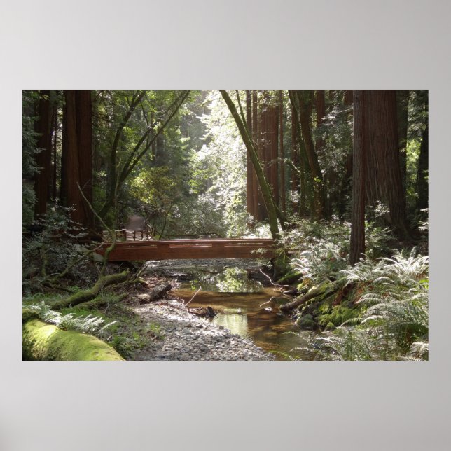 Muir Woods Bridge II Poster (Front)