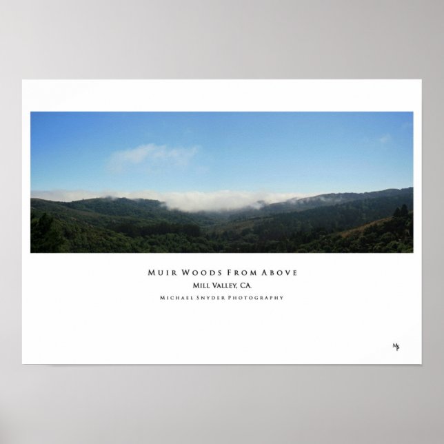 "Muir Woods From Above" Poster (Front)