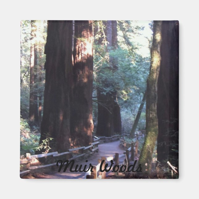 Muir Woods Magnet (Front)