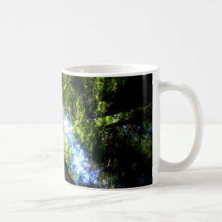 Muir Woods Mug