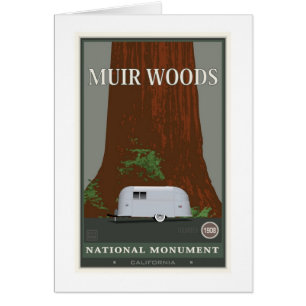 Muir Woods National Monument 1
