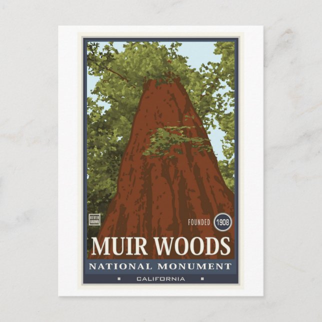 Muir Woods National Monument 3 Postcard (Front)
