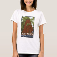 Muir Woods National Monument 3