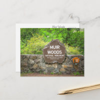 Muir Woods National Monument – California Redwood