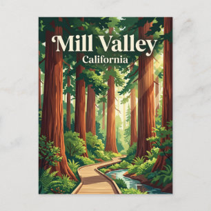 Muir Woods National Monument USA Postcard
