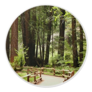 Muir Woods Path I Nature Photography Ceramic Knob