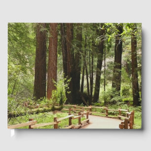 Muir Woods Path I Nature Photography Guest Book