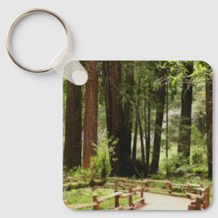 Muir Woods Path I Nature Photography Key Ring