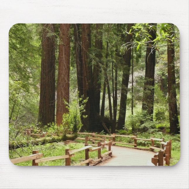 Muir Woods Path I Nature Photography Mouse Pad (Front)