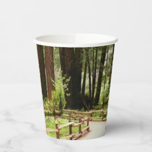 Muir Woods Path I Nature Photography Paper Cups