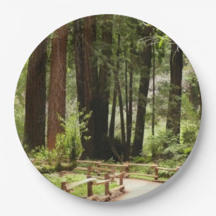 Muir Woods Path I Nature Photography Paper Plate