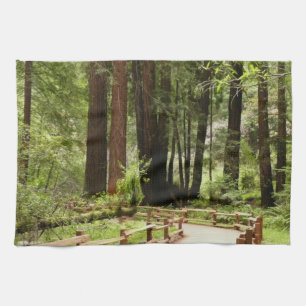 Muir Woods Path I Nature Photography Tea Towel