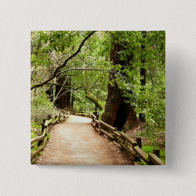 Muir Woods Path II Nature Photography 15 Cm Square Badge (Front)