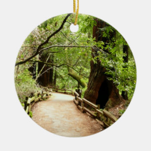 Muir Woods Path II Nature Photography Ceramic Tree Decoration