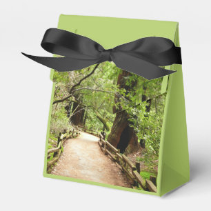 Muir Woods Path II Nature Photography Favour Box