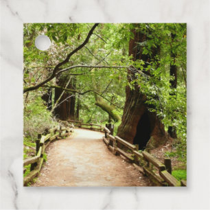 Muir Woods Path II Nature Photography Favour Tags