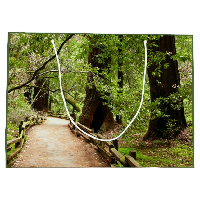 Muir Woods Path II Nature Photography Large Gift Bag (Back)