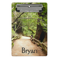 Muir Woods Path II Nature Photography
