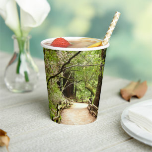 Muir Woods Path II Nature Photography Paper Cups