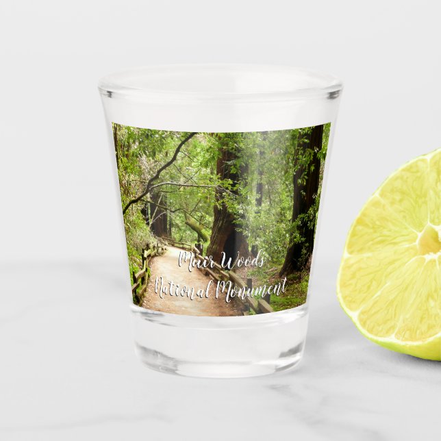 Muir Woods Path II Nature Photography Shot Glass (Front)