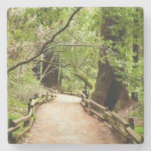 Muir Woods Path II Nature Photography Stone Coaster