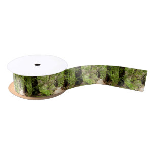 Muir Woods Path II Satin Ribbon