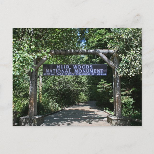 Muir Woods Post Card (Front)