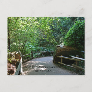 Muir Woods Post Card
