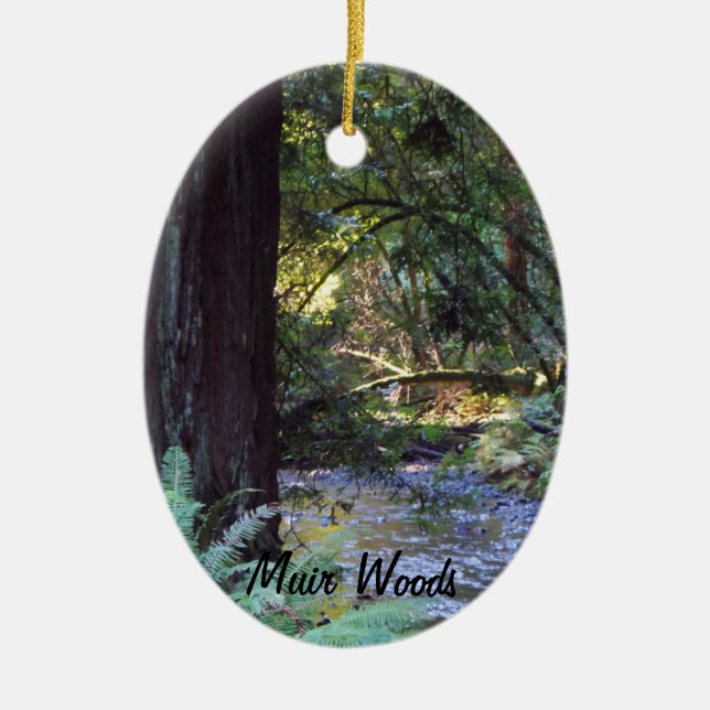 Muir Woods Stream Ceramic Ornament (Front)
