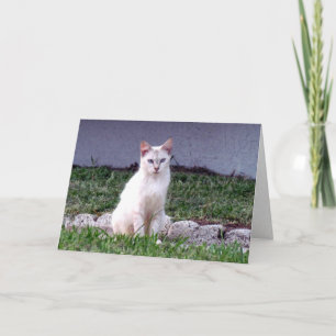 Mulan's Greeting Card (8838)