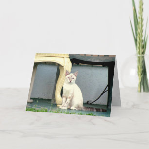 Mulan's Greeting Card (8848)