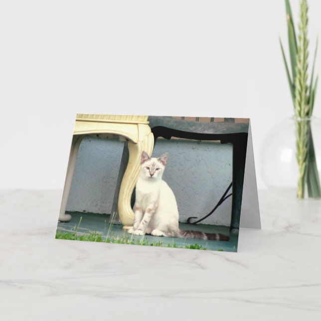 Mulan's Greeting Card (8848) (Front)